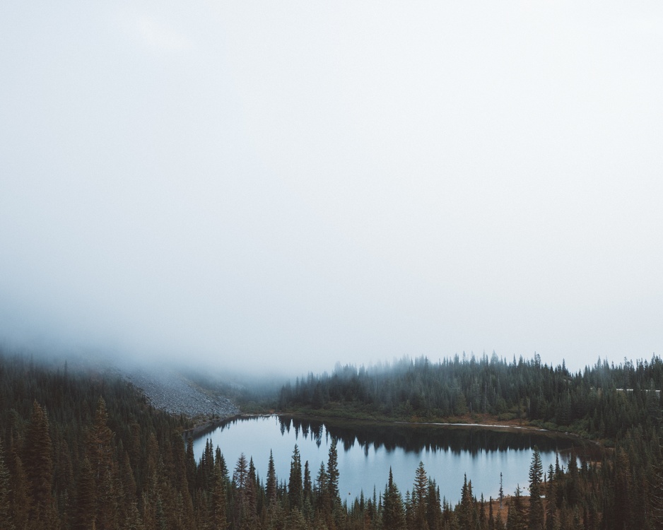 Wilderness,Loch,Mist