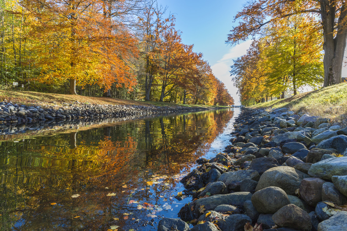 Canal,Autumn,Leaf