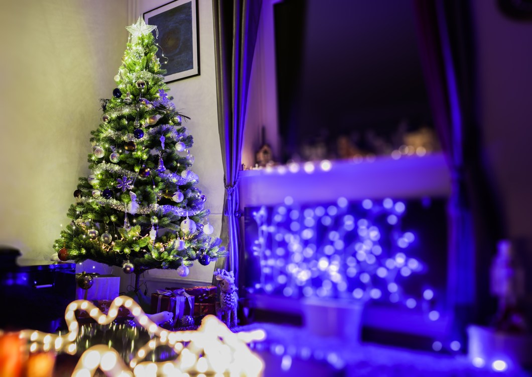 Blue,Christmas Decoration,Purple