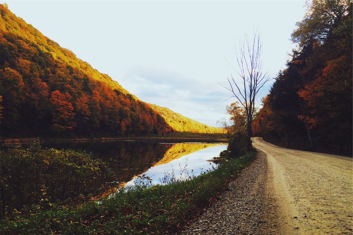 Wilderness,Loch,Autumn