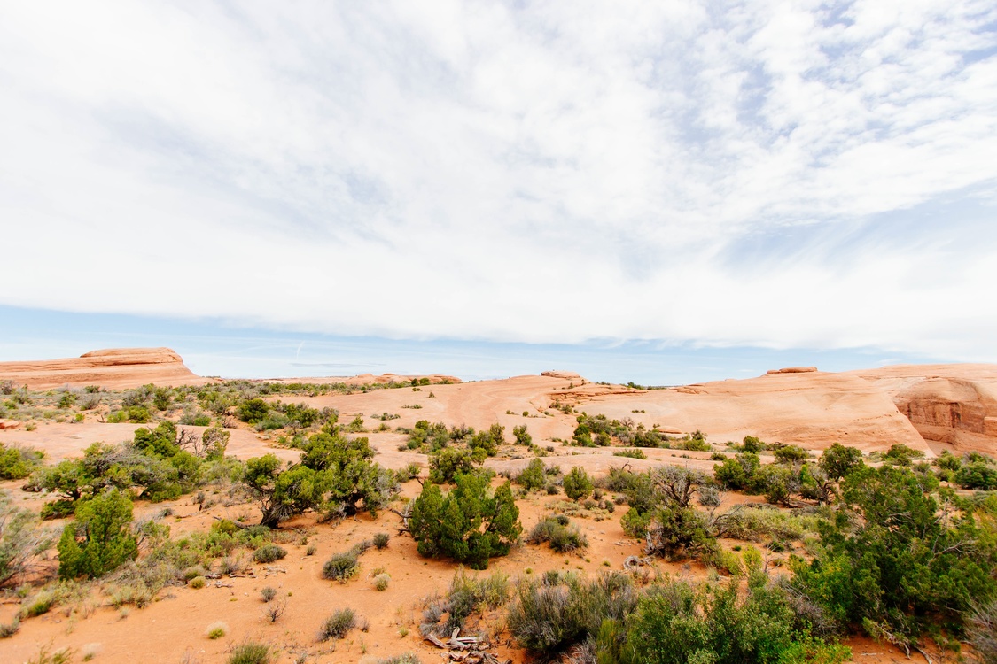 Dune,Aeolian Landform,Wilderness