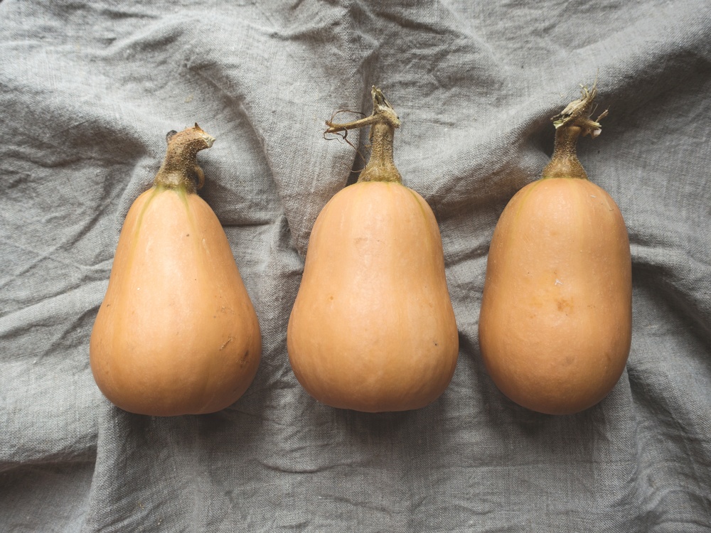 Food,Still Life Photography,Gourd