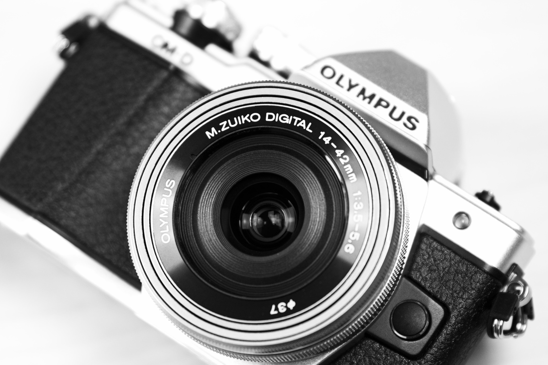 Single Lens Reflex Camera,Close Up,Monochrome Photography