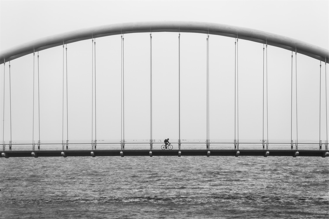 Bridge,Monochrome Photography,Photography