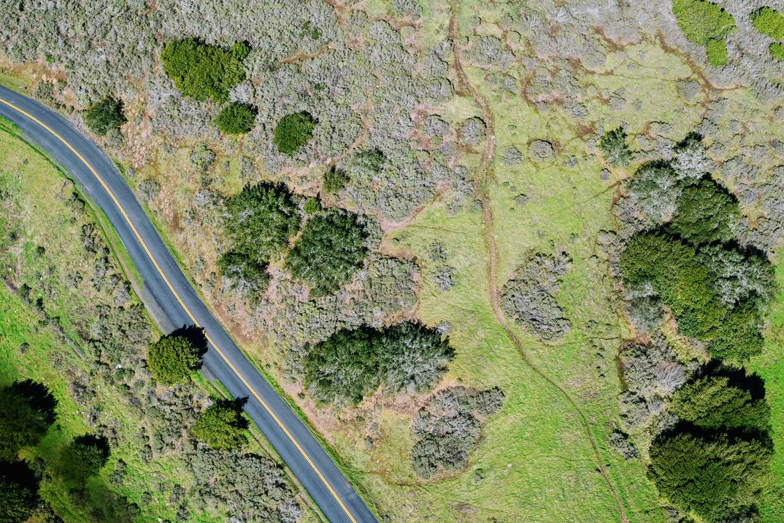 Aerial Photography,Nature Reserve,Grass