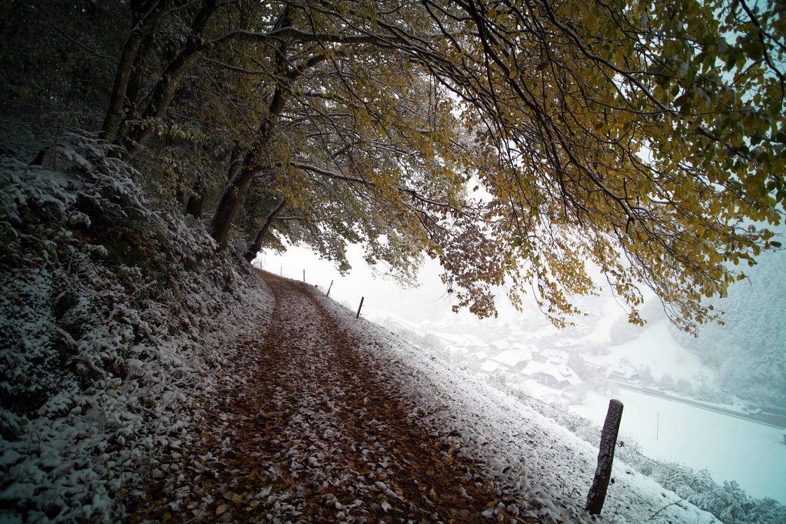 Road,Ice,Winter