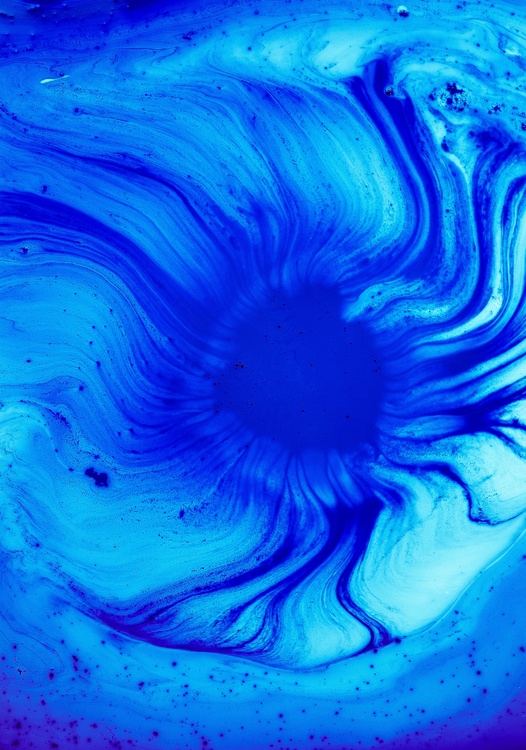 Blue,Marine Biology,Electric Blue