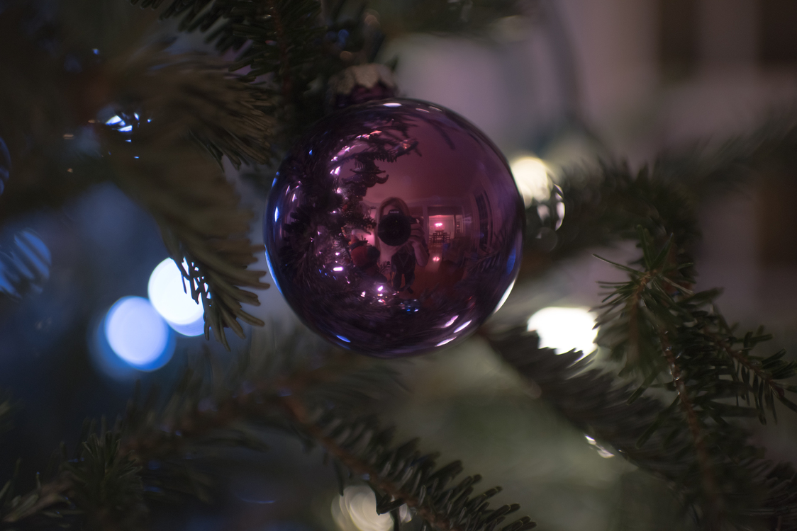 Christmas Decoration,Close Up,Darkness