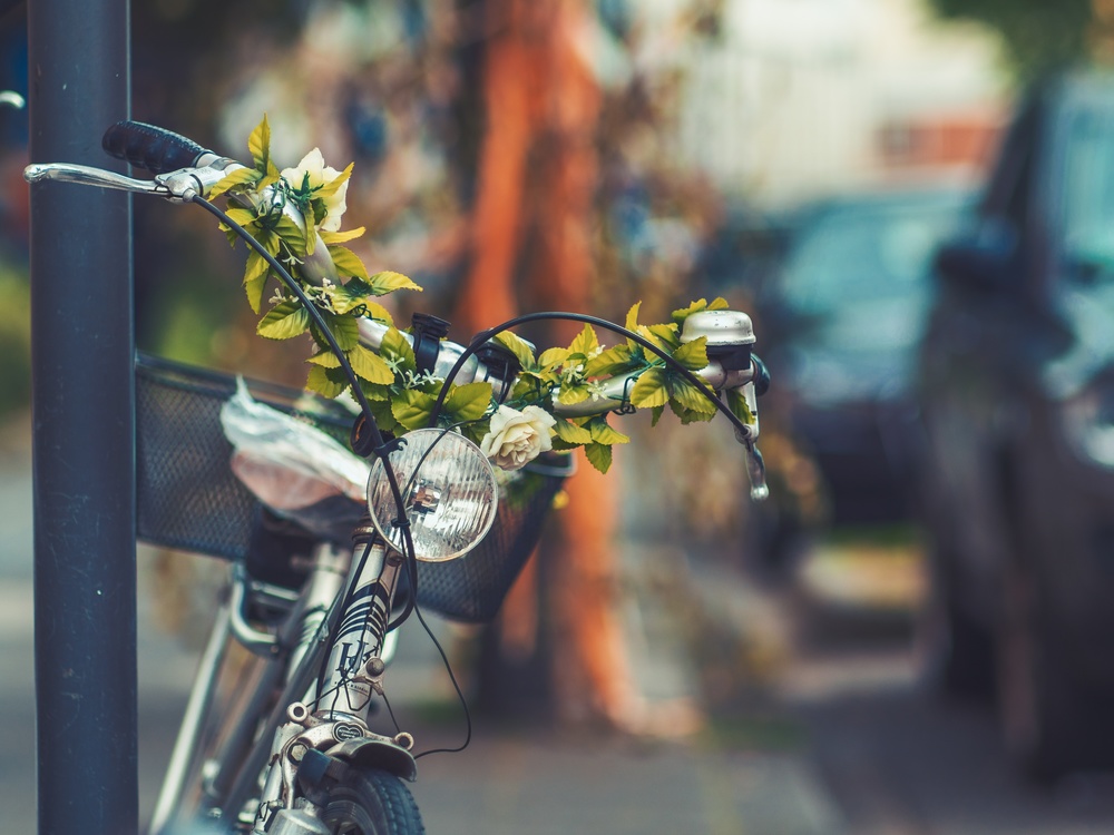 Bicycle,Plant,Tree