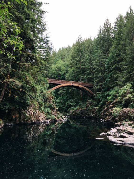 Bridge,Creek,Wilderness
