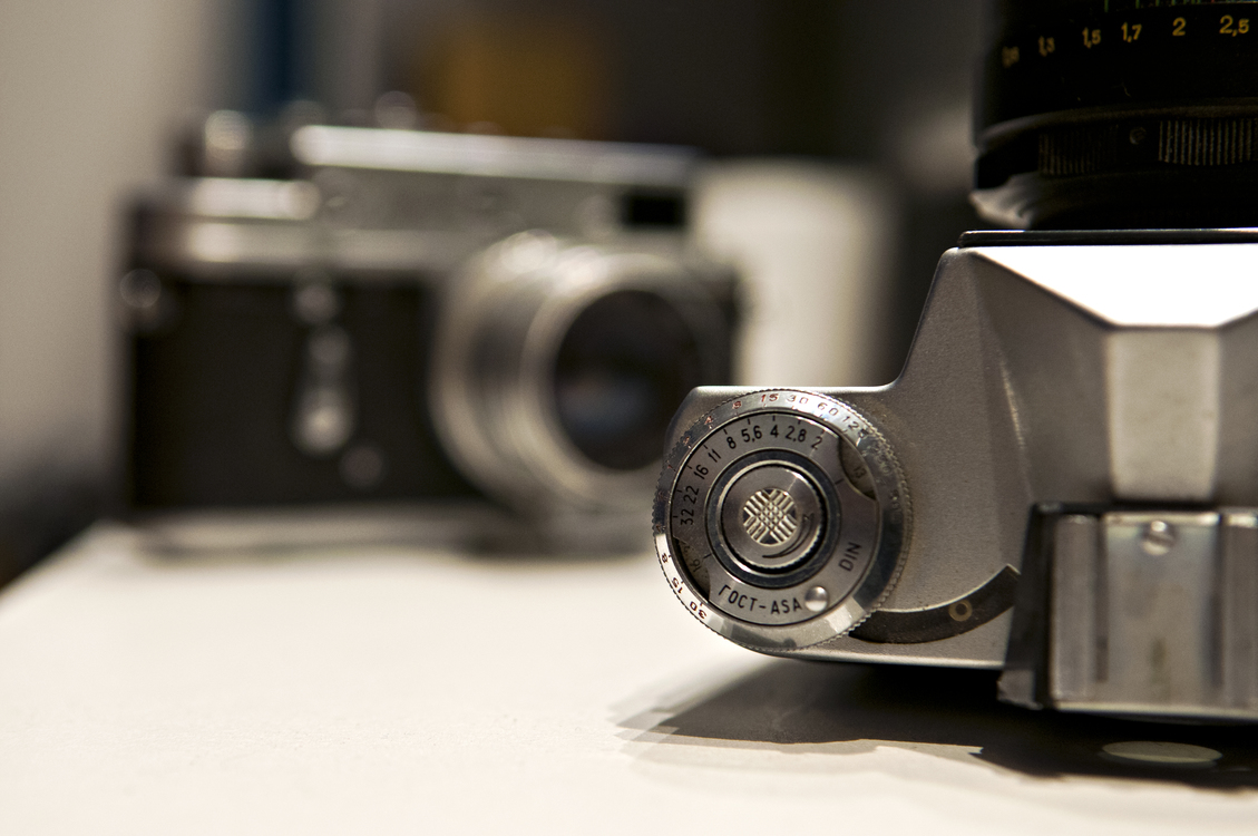 Single Lens Reflex Camera,Close Up,Macro Photography