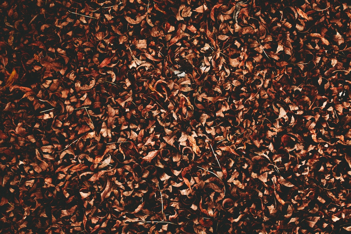 Brown,Texture,Desktop Wallpaper