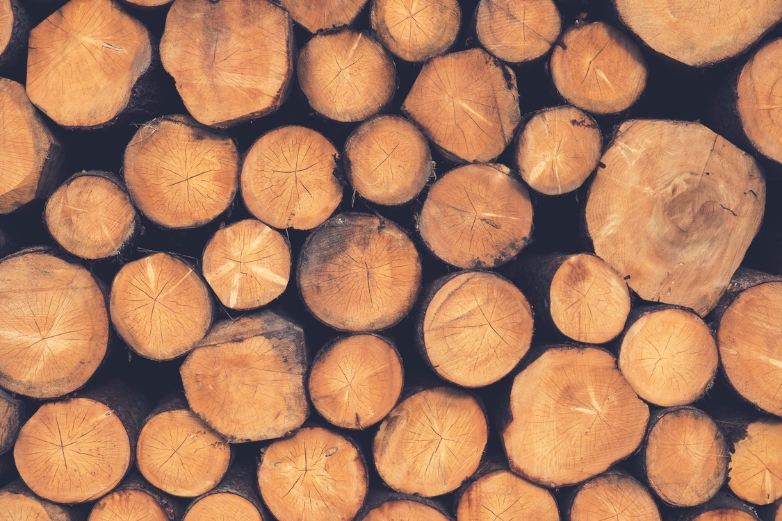 Wood,Lumber,Company