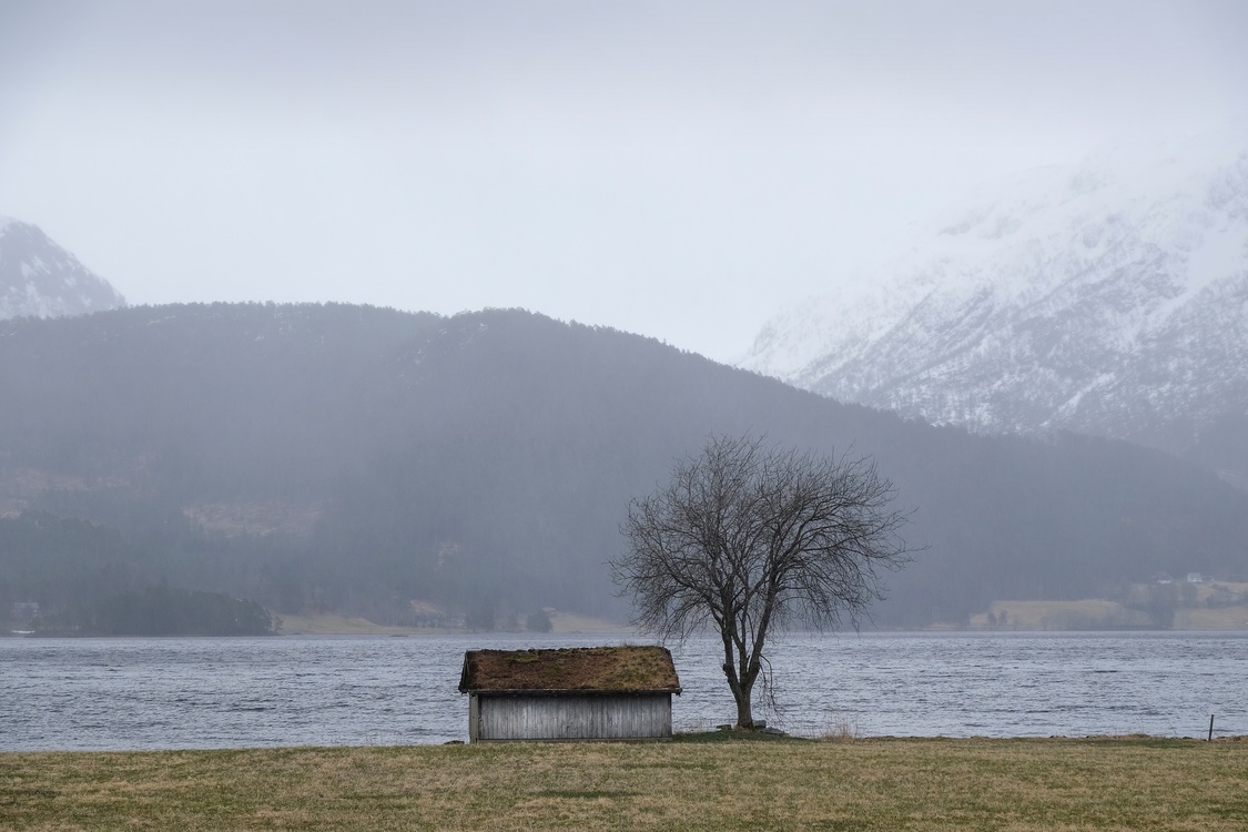 Loch,Snow,Landscape