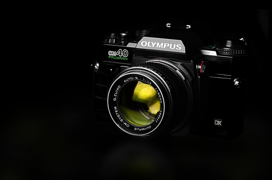 Single Lens Reflex Camera,Flash Photography,Macro Photography