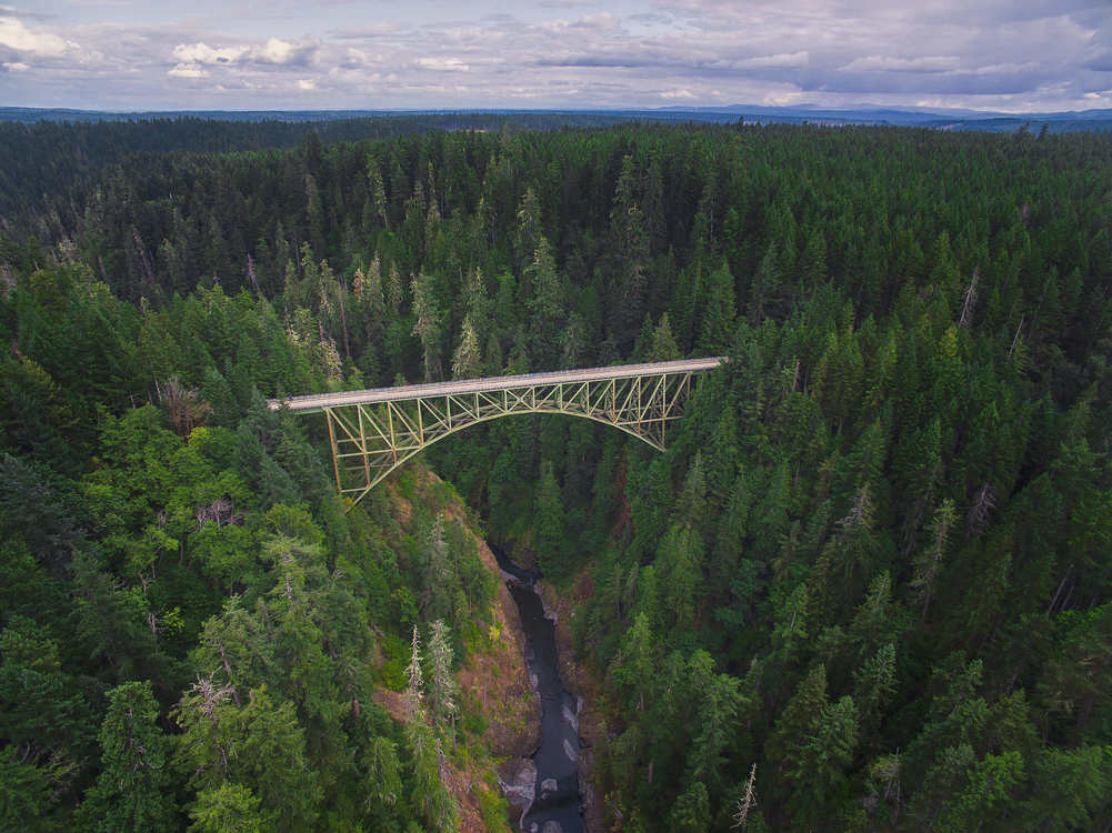 Bridge,Wilderness,Biome