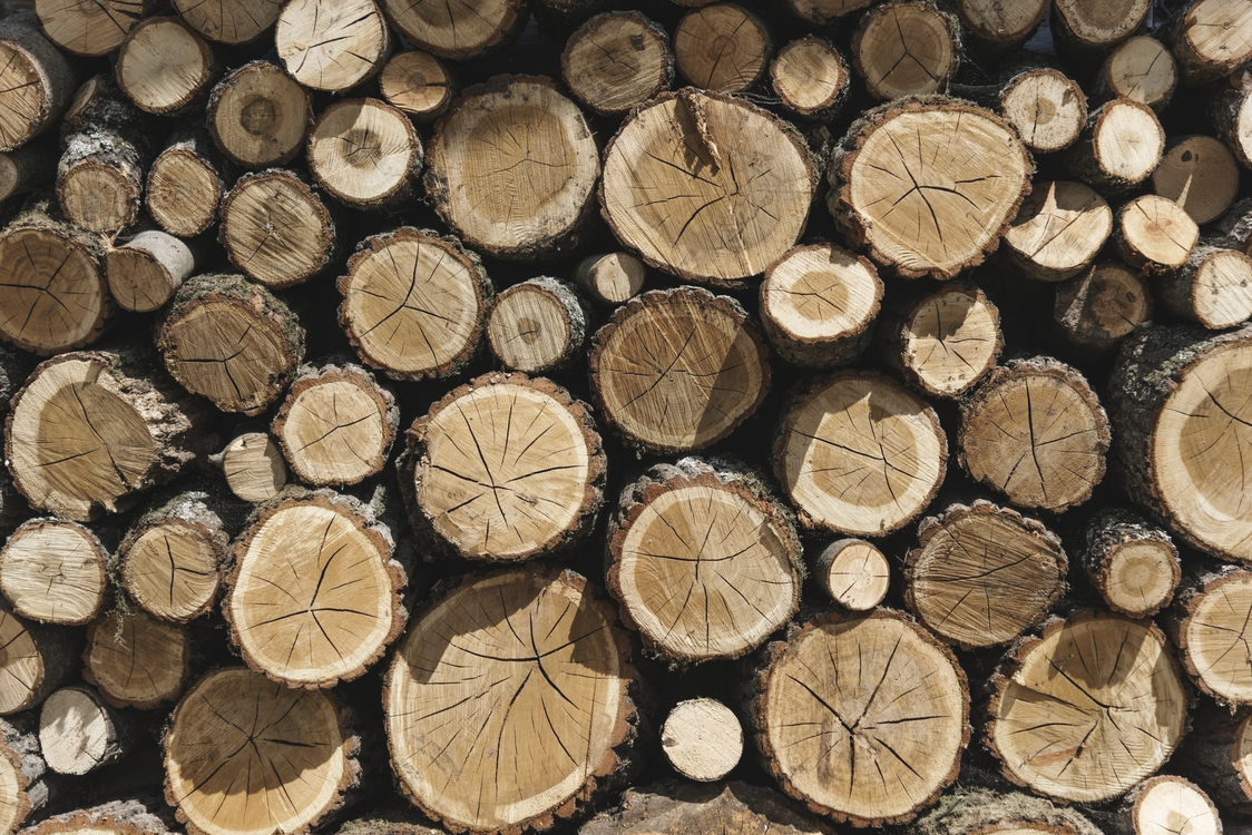 Wood,Tree,Lumber