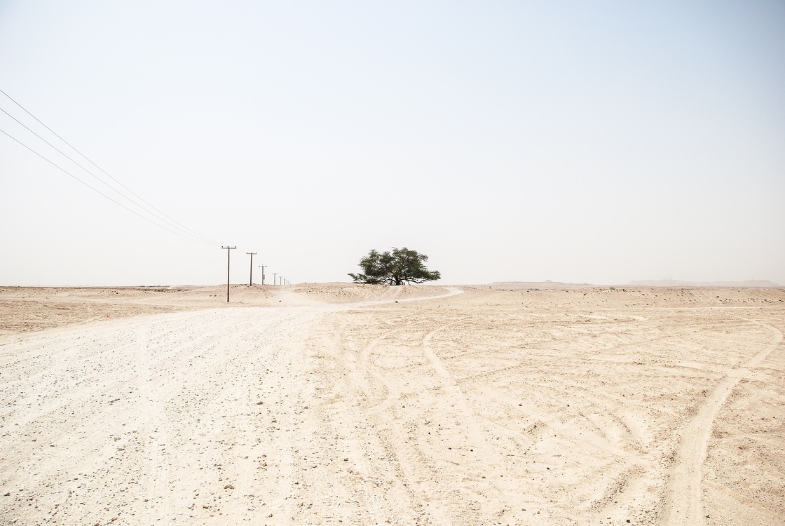 Dirt Road,Aeolian Landform,Plain
