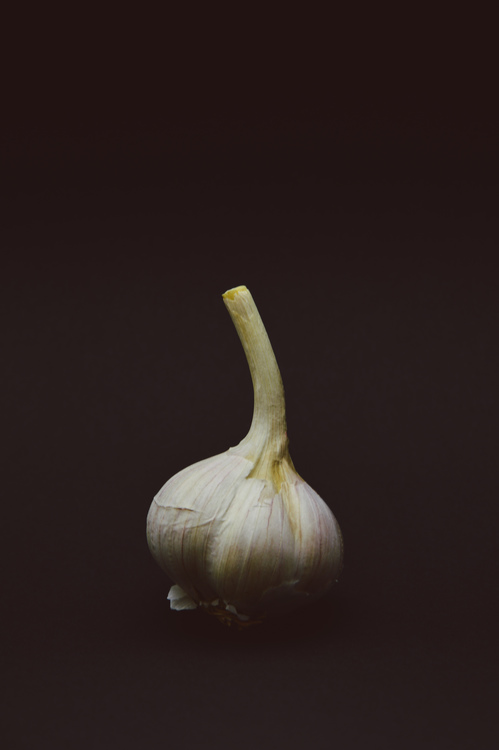 Elephant Garlic,Garlic,Still Life Photography