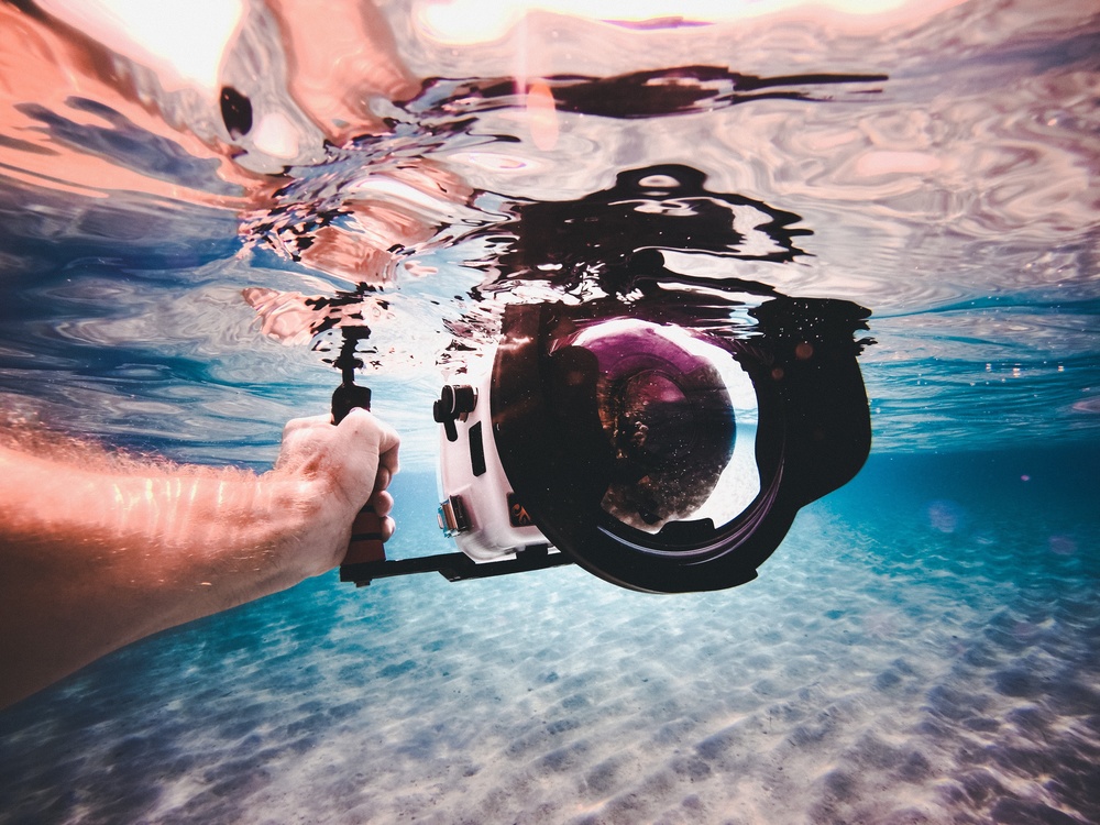 Underwater,Stock Photography,Marine Biology