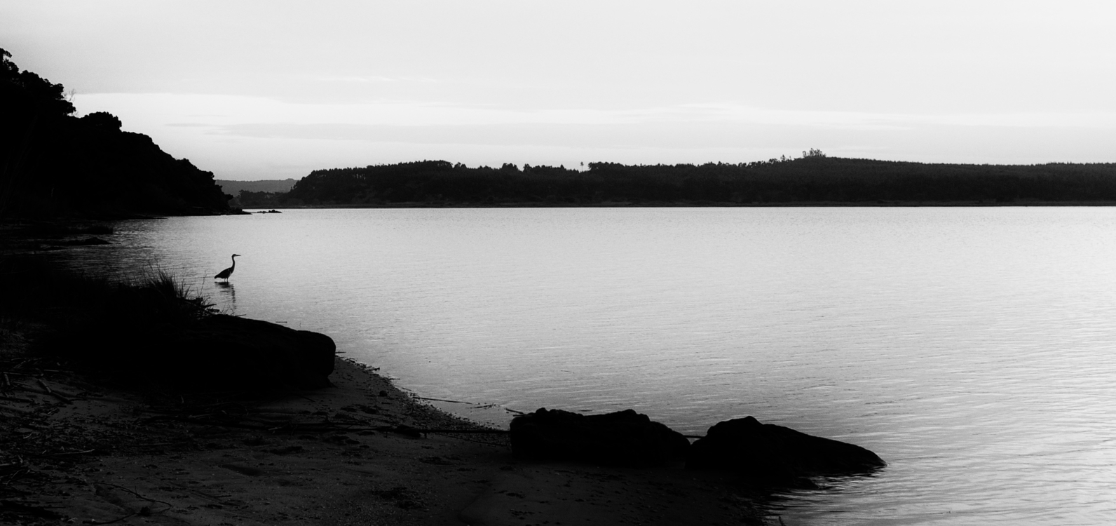 Reservoir,Monochrome Photography,Loch