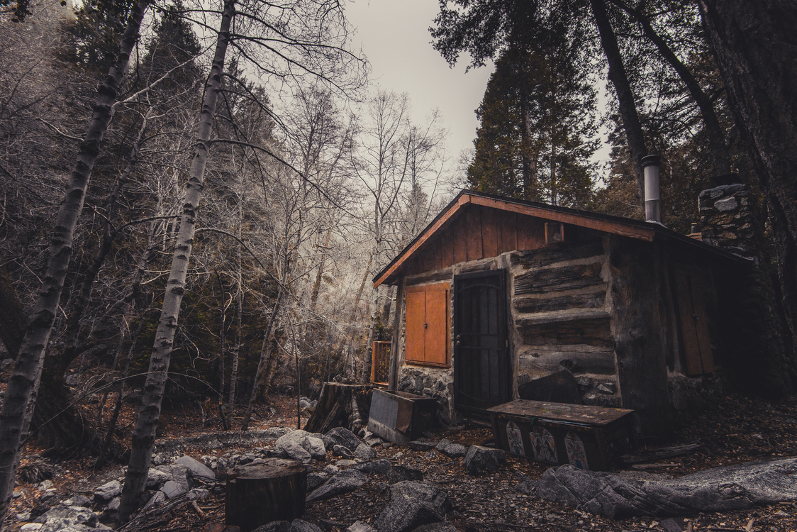 Building,Log Cabin,Winter