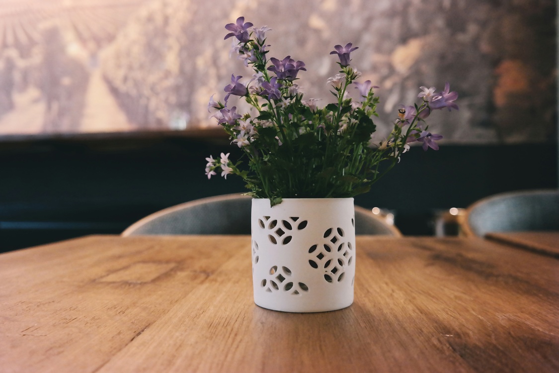 Plant,Ceramic,Purple