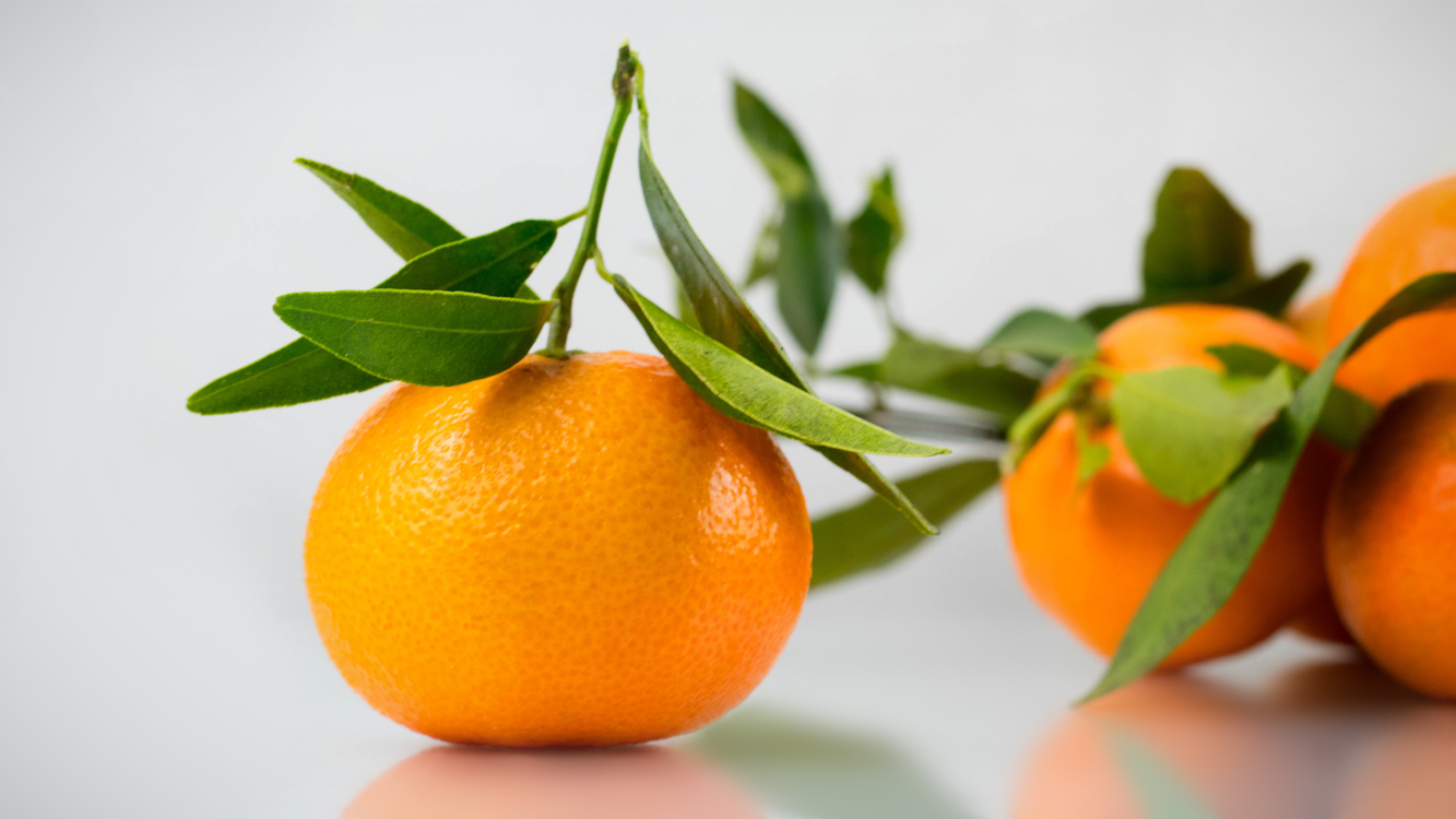 Meyer Lemon,Mandarin Orange,Vegetarian Food