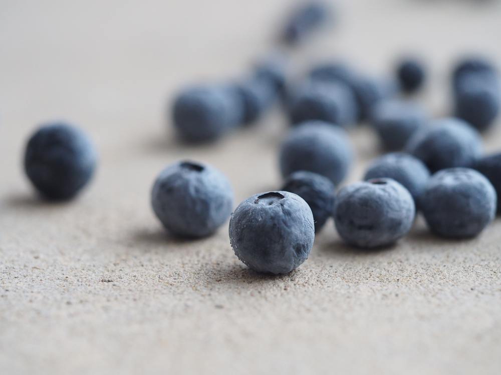 Close Up,Bilberry,Superfood