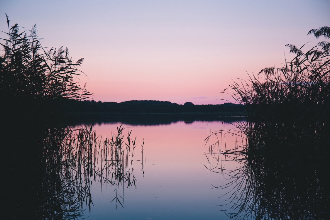 Marsh,Evening,Reflection Background - Royalty Free Photo / Illustration