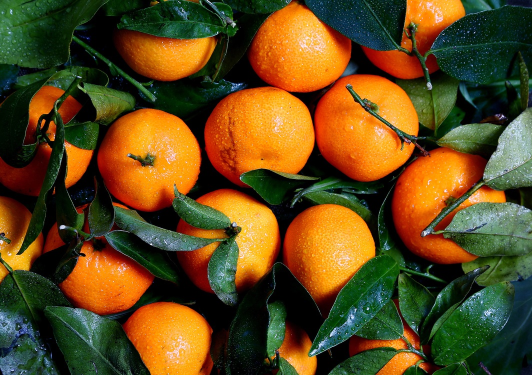 Mandarin Orange,Vegetarian Food,Calamondin