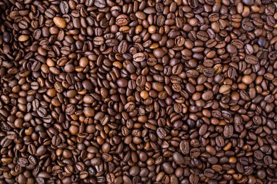 Bean,Seed,Jamaican Blue Mountain Coffee