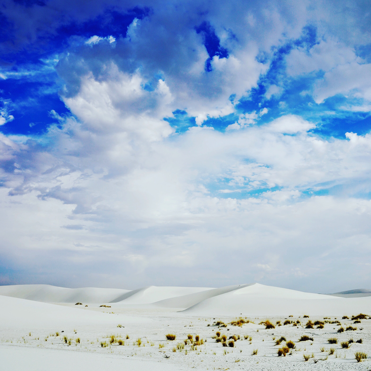 Dune,Aeolian Landform,Ecosystem