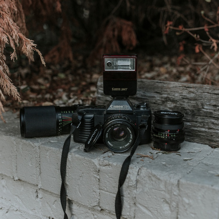 Single Lens Reflex Camera,Digital Camera,Cameras  Optics