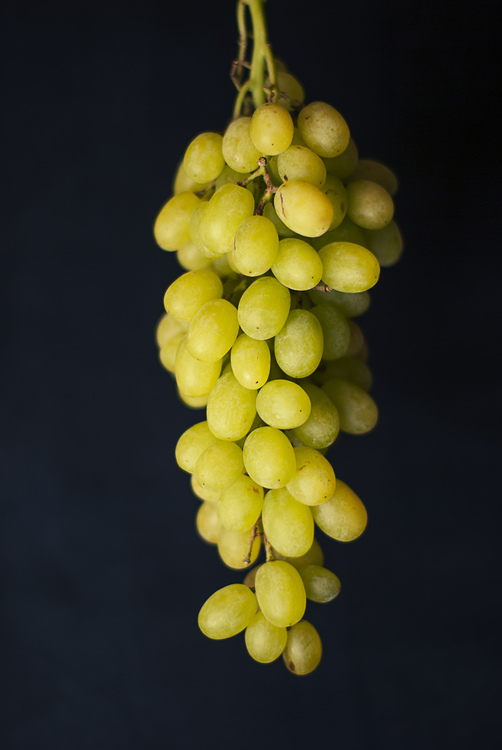 Seedless Fruit,Grape,Grapevine Family
