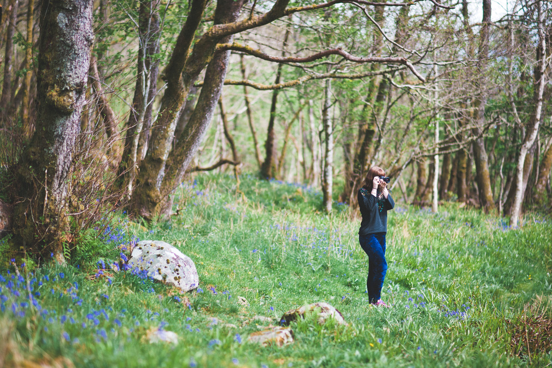 Meadow,Wilderness,Spring
