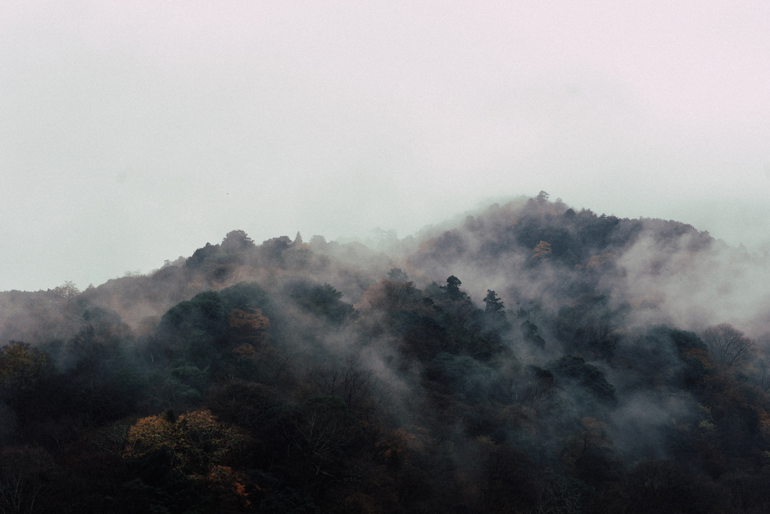 Atmosphere,Mount Scenery,Mist