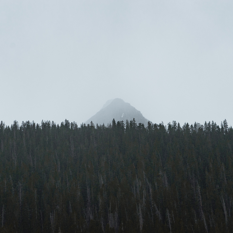 Mountain,Mist,Ridge