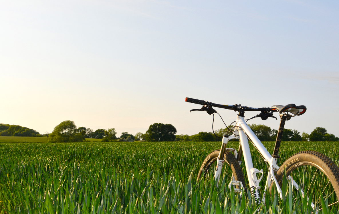 Bicycle,Meadow,Racing Bicycle