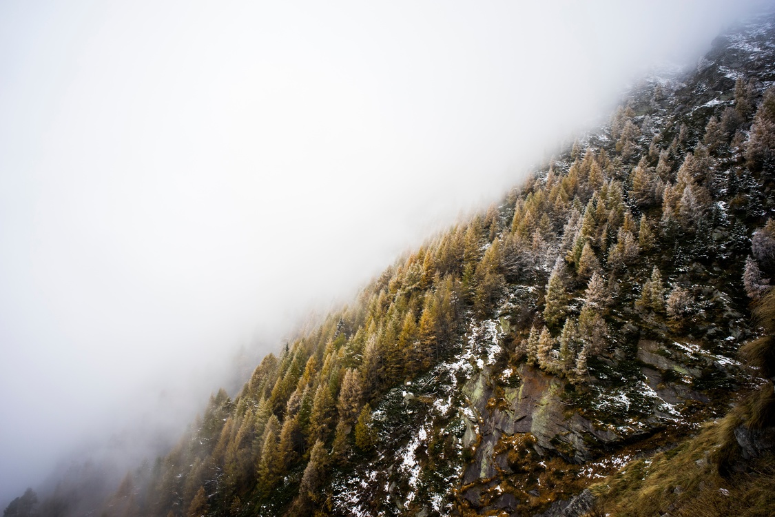 Wilderness,Terrain,Mist