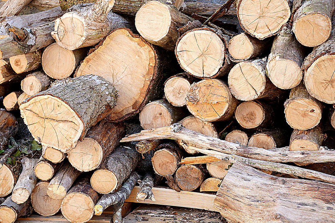 Wood Chopping,Logging,Lumber