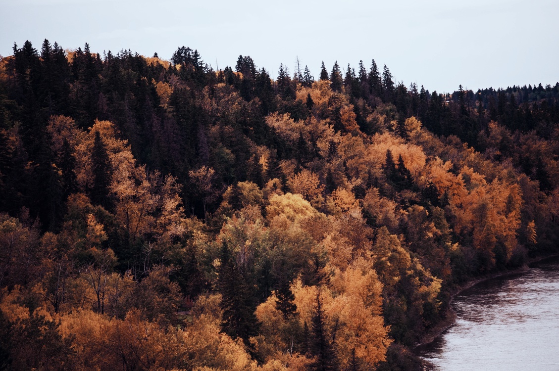 Wilderness,Autumn,Biome