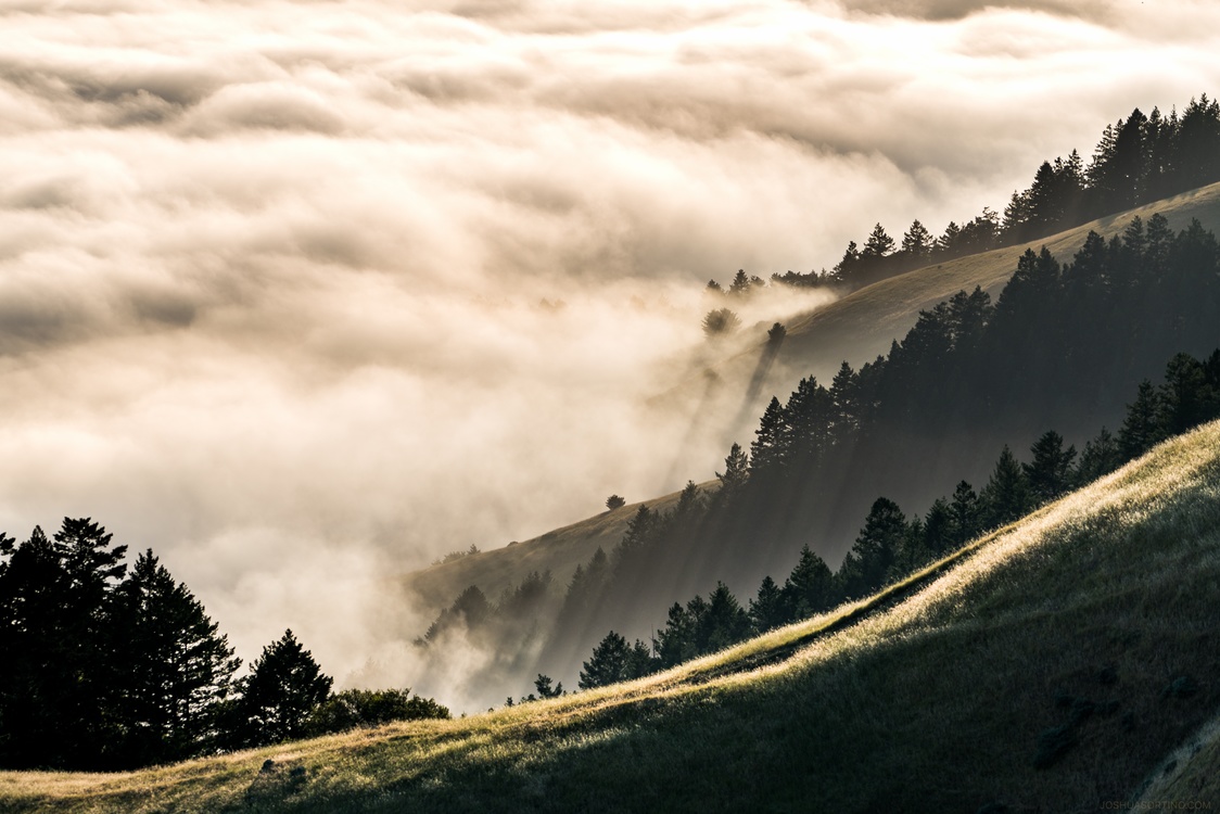 Mountain,Ridge,Mist