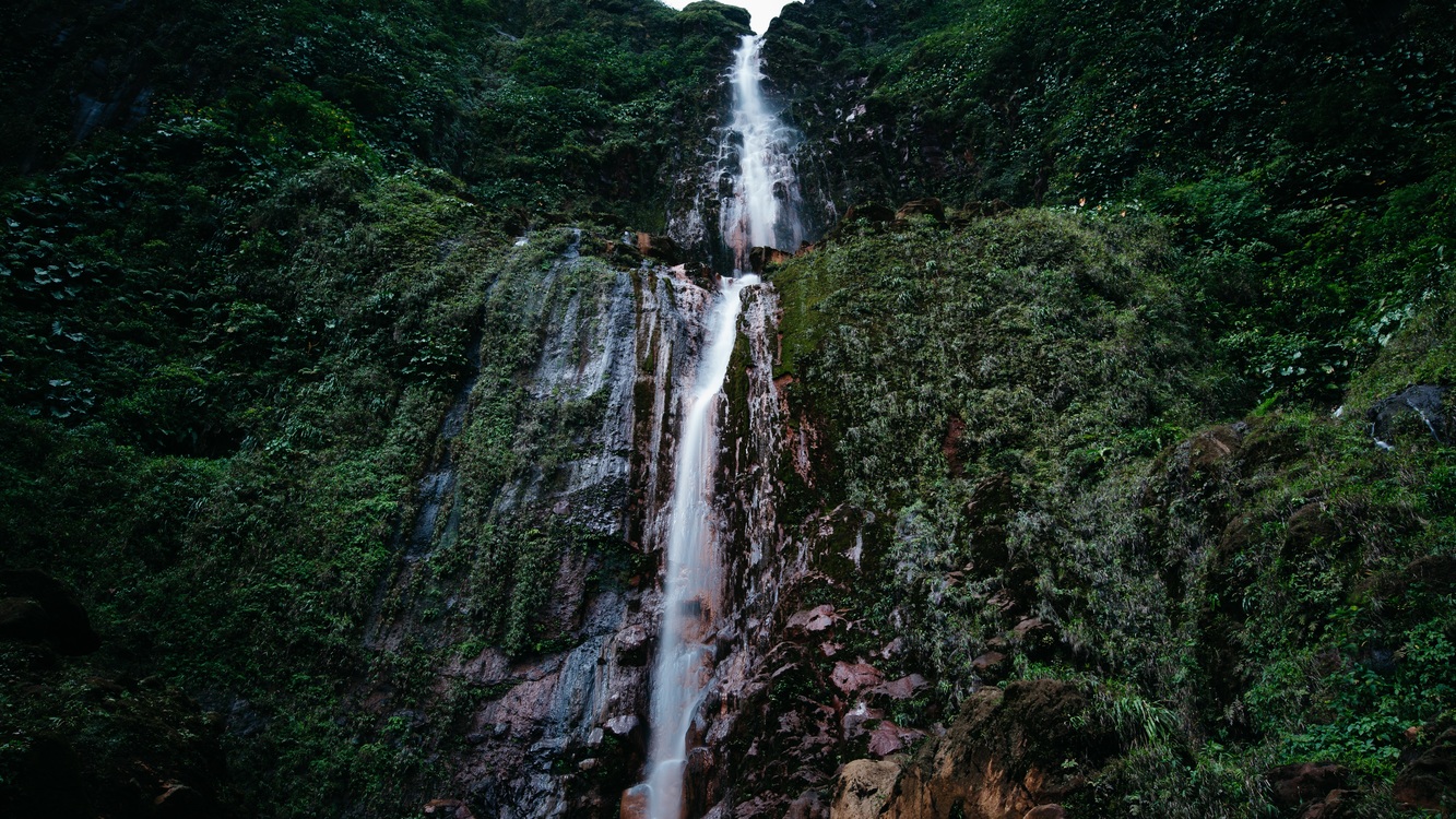 Valdivian Temperate Rain Forest,Stream,Nature Reserve