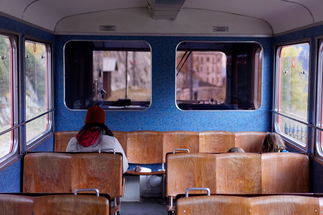 Passenger,Public Transport,Bus