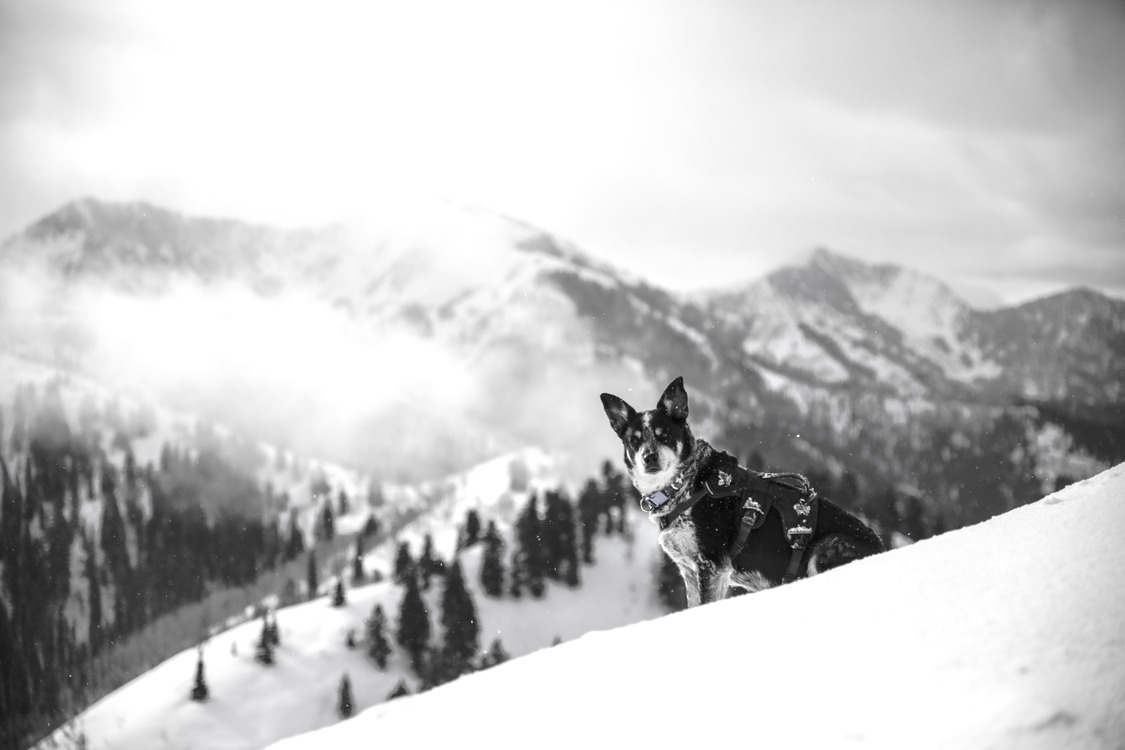 Monochrome Photography,Mountaineering,Snowboard