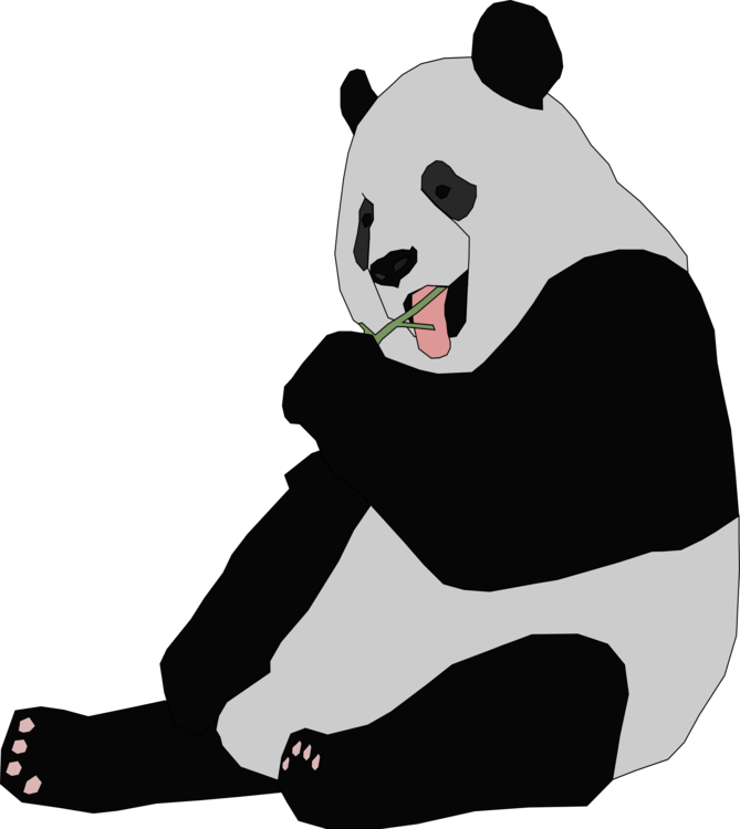 Giant Panda,Carnivoran,Dog Like Mammal