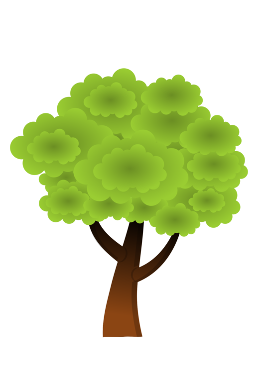 Tree,Plant,Leaf