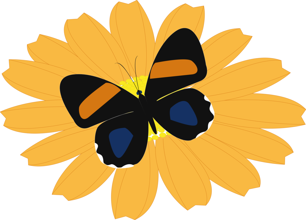 Butterfly,Flower,Honey Bee