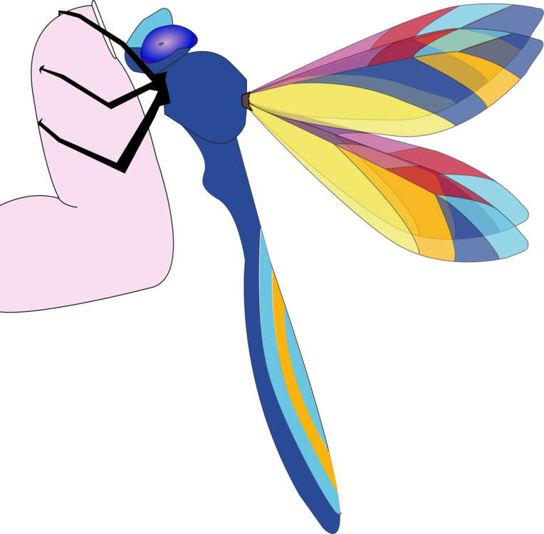 Download Butterfly,Feather,Pollinator PNG Clipart - Royalty Free ...